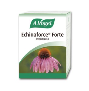 ECHINAFORCE FORTE VOGEL